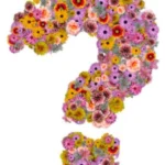 Boeket laat je verrassen!