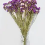 Gedroogd Limonium Sinuatum Paars bos 5st