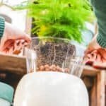 Pot inlay lucas helder