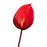 Tina Collection zijde Anthurium 60cm rood