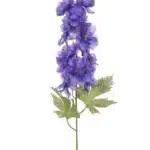 Tina Collection zijde Delphinium 67cm donker paars
