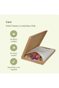 Droogbloemen in Letterbox - Pink - Afbeelding 3