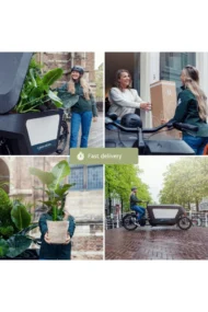 Droogbloemen in Letterbox - Pink - Afbeelding 4