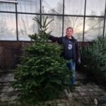Nordman kerstboom 175-200cm kopen