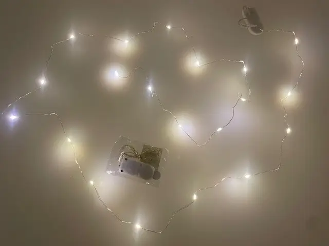 Led 20 lamps 2mtr incl. batt kopen