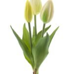 Zijde tulp Real Touch Holland Sally 3st. cream 25cm