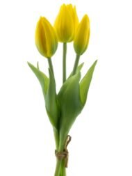 Zijde tulp Real Touch Holland Sally 3st. cream 25cm