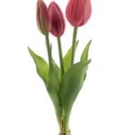 Zijde tulp Real Touch Holland Sally 3st. beauty 25cm