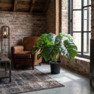 Kunstplant Monstera Deliciosa - 45cm - Afbeelding 4