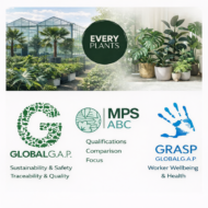 Kunstplant Areca - 190cm - Afbeelding 7