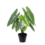 Kunstplant Alocasia Polly - 40cm