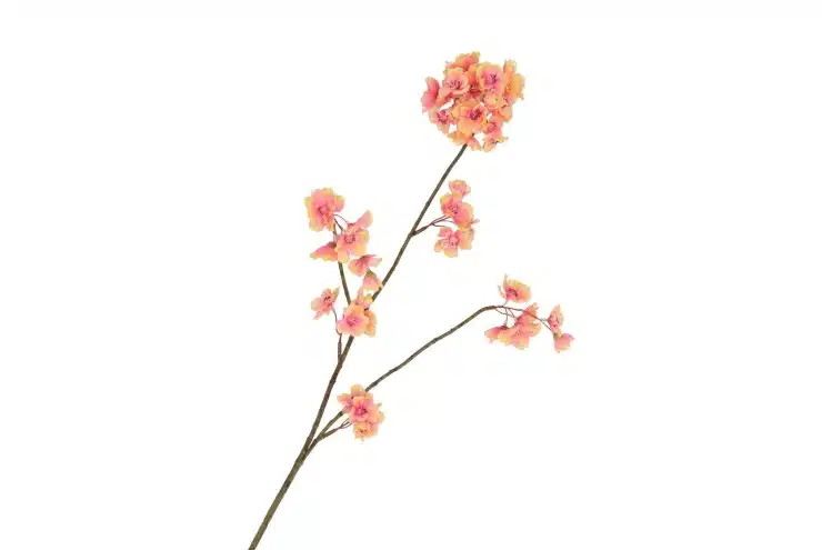 zijdebloem-cherry-blossom-peach-85cm-kopen zijdebloem peach