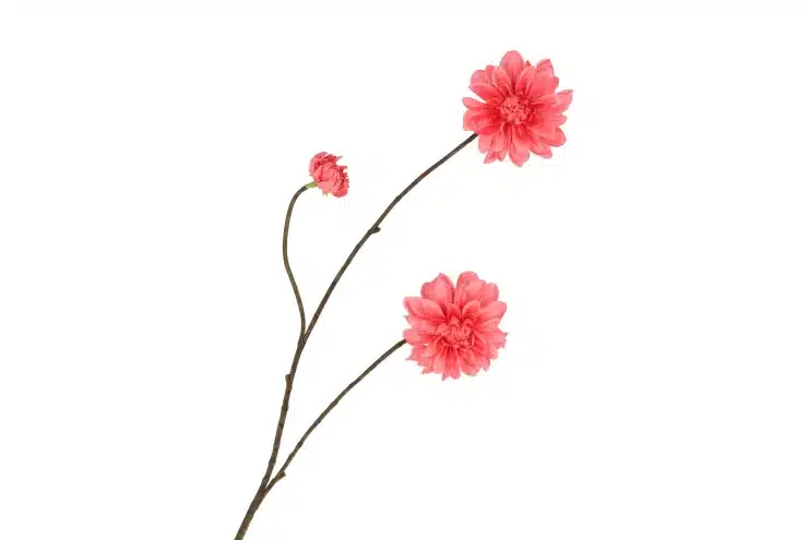 zijdebloem-dahlia-branch-red-80cm-nm zijdebloem