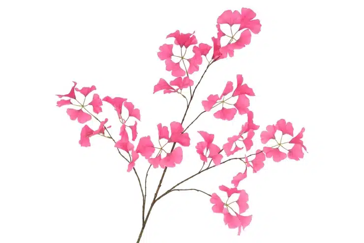 zijdebloem-ginkgo-beauty-130cm-nm zijdebloem