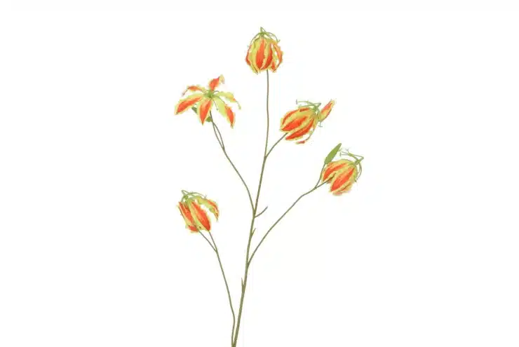 zijdebloem-gloriosa-red-105cm zijdebloem